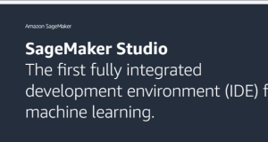 Unlock cost-effective AI inference using Amazon Bedrock serverless capabilities with an Amazon SageMaker trained model