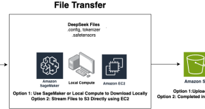 Deploy DeepSeek-R1 Distilled Llama models in Amazon Bedrock