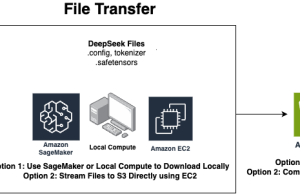 Deploy DeepSeek-R1 Distilled Llama models in Amazon Bedrock