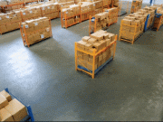 Why World Foundation Models Will Be Key to Advancing Physical AI