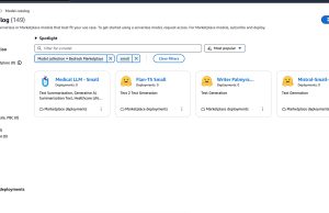 Mistral-Small-24B-Instruct-2501 is now available on SageMaker Jumpstart and Amazon Bedrock Marketplace