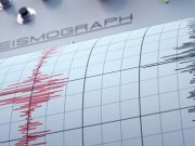 When the Earth Talks, AI Listens