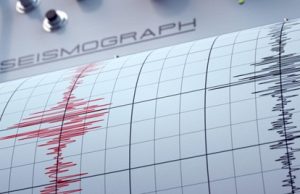 When the Earth Talks, AI Listens