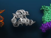 Massive Foundation Model for Biomolecular Sciences Now Available via NVIDIA BioNeMo