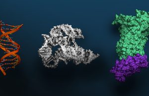 Massive Foundation Model for Biomolecular Sciences Now Available via NVIDIA BioNeMo