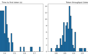 Benchmarking customized models on Amazon Bedrock using LLMPerf and LiteLLM