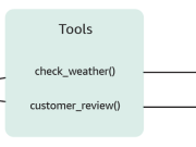 Tool choice with Amazon Nova models