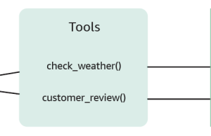Tool choice with Amazon Nova models