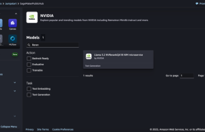 NeMo Retriever Llama 3.2 text embedding and reranking NVIDIA NIM microservices now available in Amazon SageMaker JumpStart