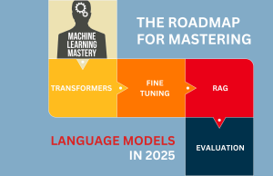 The Roadmap for Mastering Language Models in 2025