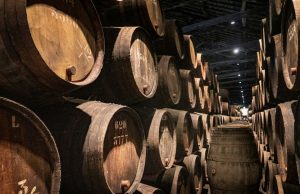 Understanding the DistilBart Model and ROUGE Metric