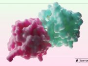 Isomorphic Labs Rethinks Drug Discovery With AI