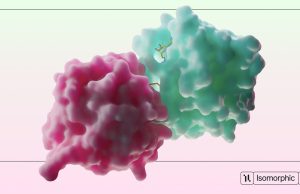 Isomorphic Labs Rethinks Drug Discovery With AI