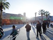 NVIDIA Experts Share Top 5 Tips for Standing Out in the AI Job Market