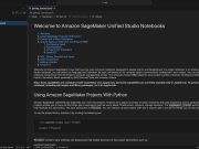 Speed up delivery of ML workloads using Code Editor in Amazon SageMaker Unified Studio