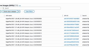 Amazon SageMaker HyperPod enhances ML infrastructure with scalability and customizability