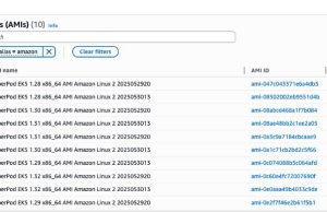 Amazon SageMaker HyperPod enhances ML infrastructure with scalability and customizability