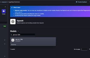 GPT OSS models from OpenAI are now available on SageMaker JumpStart