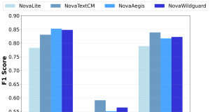 Customizing text content moderation with Amazon Nova