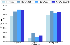 Customizing text content moderation with Amazon Nova