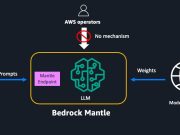 Exploring the zero operator access design of Mantle