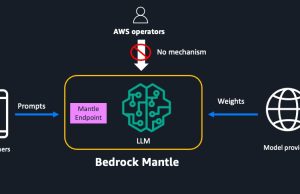 Exploring the zero operator access design of Mantle