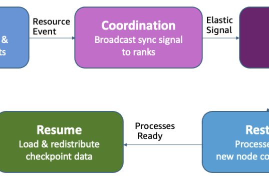 Adaptive infrastructure for foundation model training with elastic training on SageMaker HyperPod