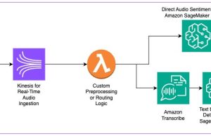 Sentiment Analysis with Text and Audio Using AWS Generative AI Services: Approaches, Challenges, and Solutions