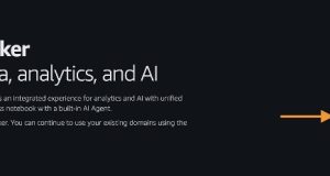 Agentic AI for healthcare data analysis with Amazon SageMaker Data Agent