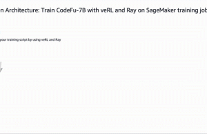 Train CodeFu-7B with veRL and Ray on Amazon SageMaker Training jobs