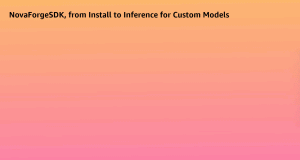 Introducing Nova Forge SDK, a seamless way to customize Nova models for enterprise AI
