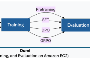 Accelerate custom LLM deployment: Fine-tune with Oumi and deploy to Amazon Bedrock